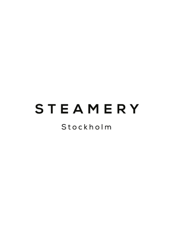 Pionowe logo steamery - profesjonalne urządzenia Steamery do pielęgnacji odzieży