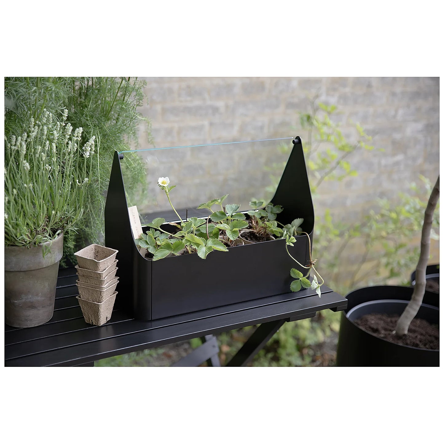 Eva Solo Mini szklarnia balkonowa Simply Grow - zdjęcie 4