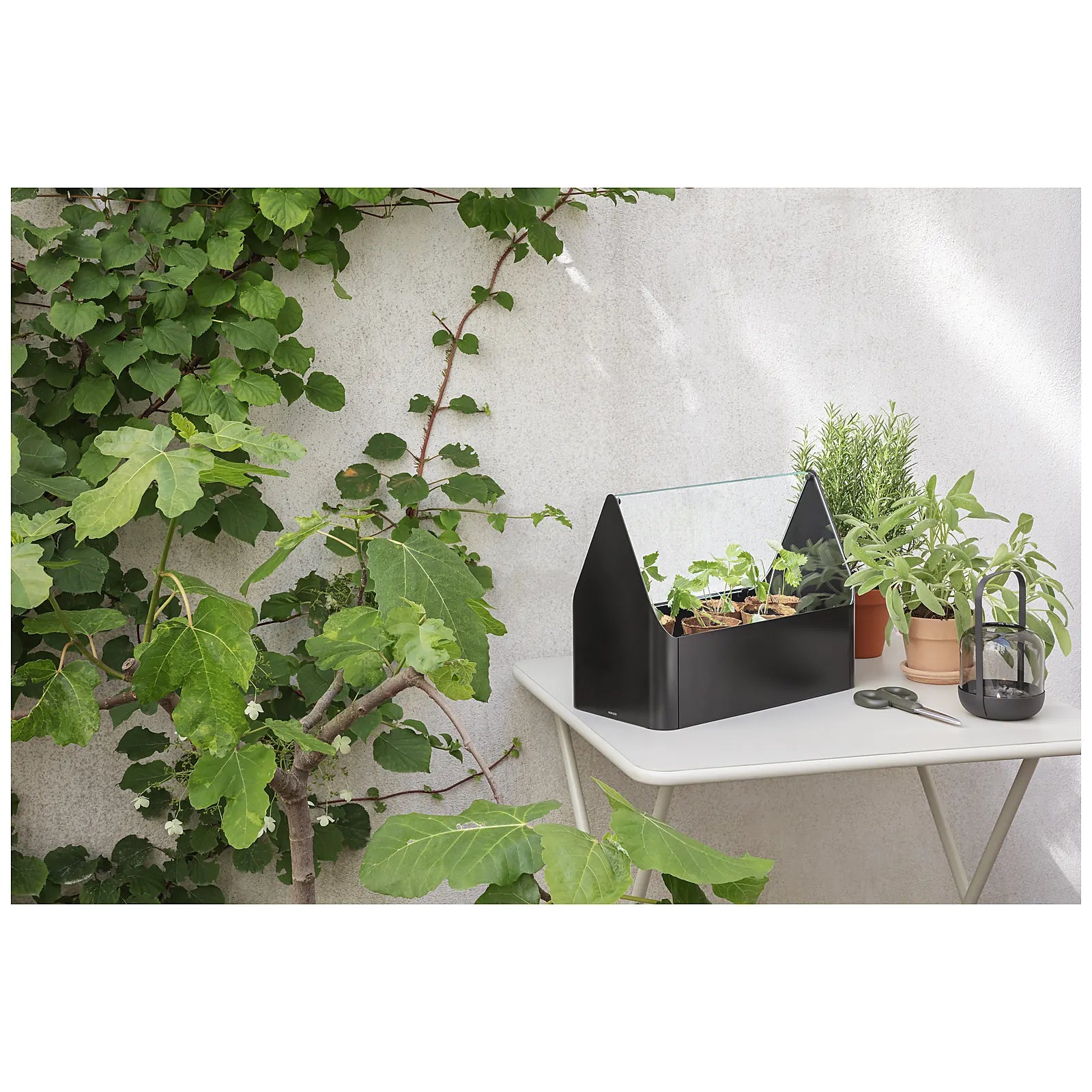 Eva Solo Mini szklarnia balkonowa Simply Grow - zdjęcie 5