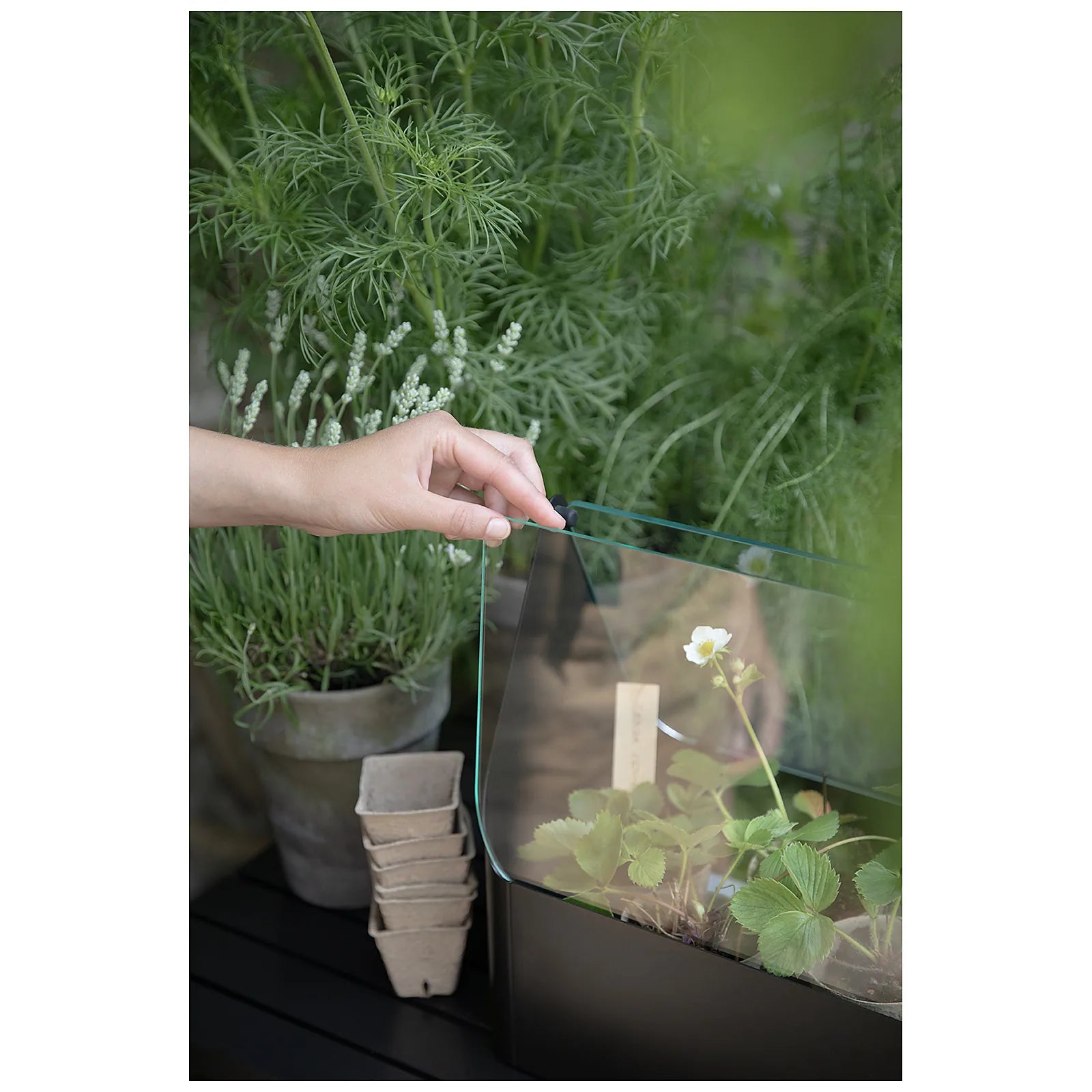 Eva Solo Mini szklarnia balkonowa Simply Grow - zdjęcie 9
