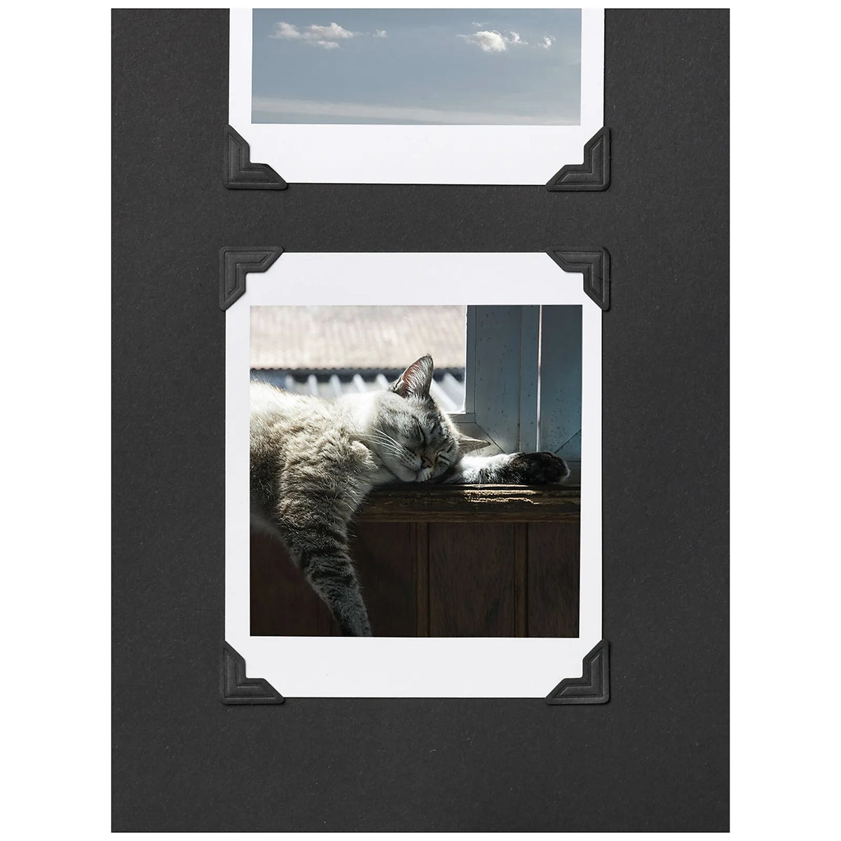 Printworks Album dla kota A Cat's Life - widok 7