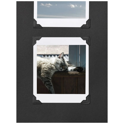 Printworks Album dla kota A Cat's Life - widok 7