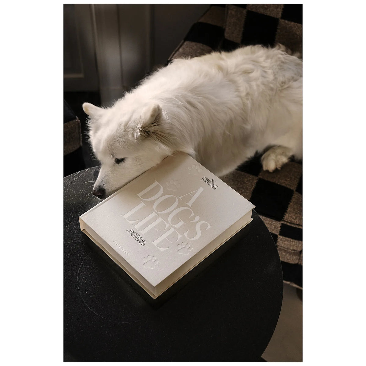 Printworks Album dla psa A Dog's Life - widok 6