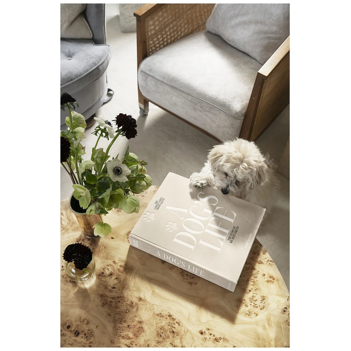Printworks Album dla psa A Dog's Life - widok 7