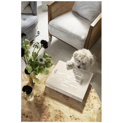 Printworks Wkład do albumu dla psów A Dog's Life - widok 10