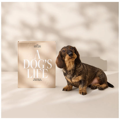 Printworks Wkład do albumu dla psów A Dog's Life - widok 13