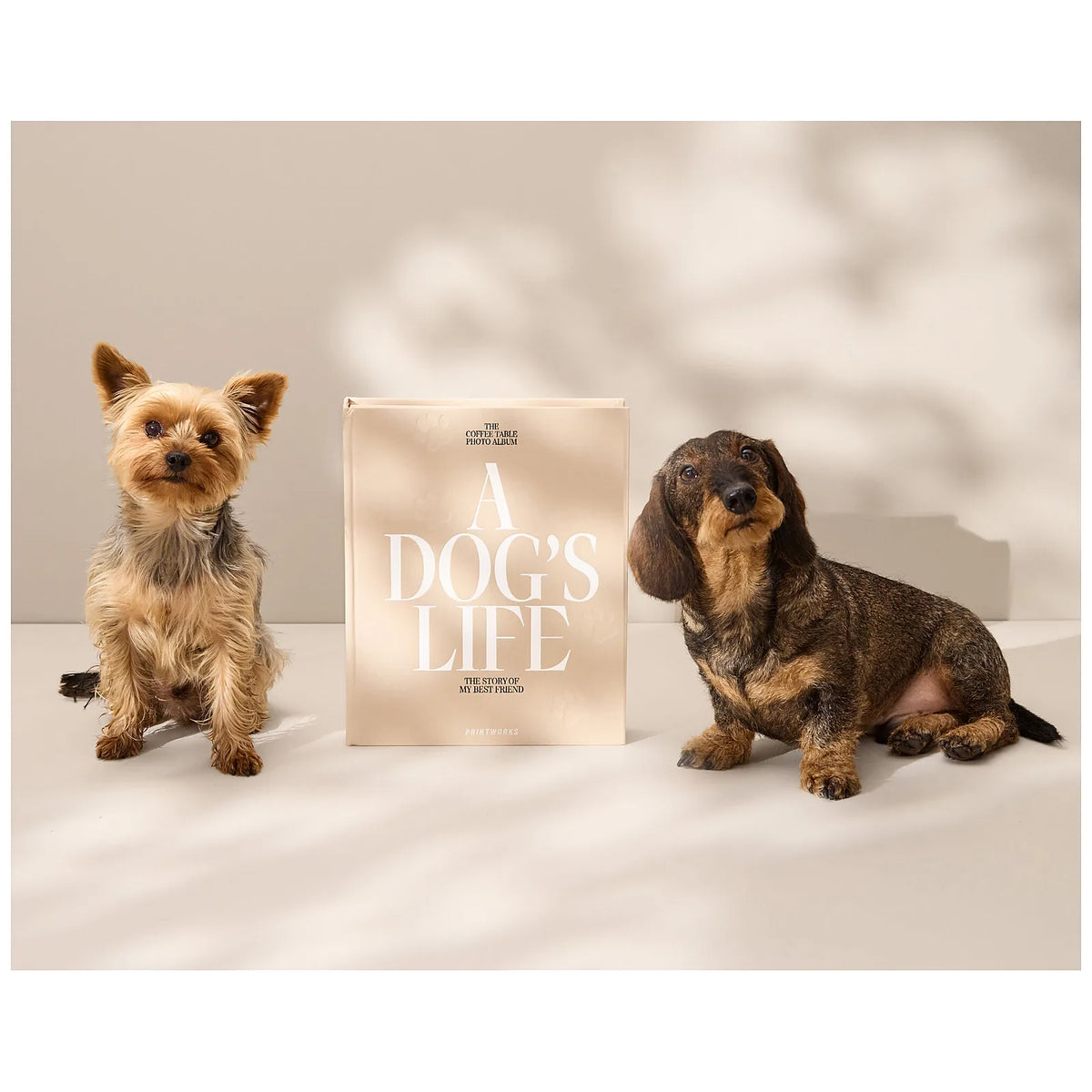 Printworks Wkład do albumu dla psów A Dog's Life - widok 4